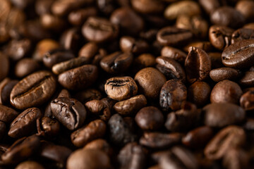 What Are Coffee Beans?